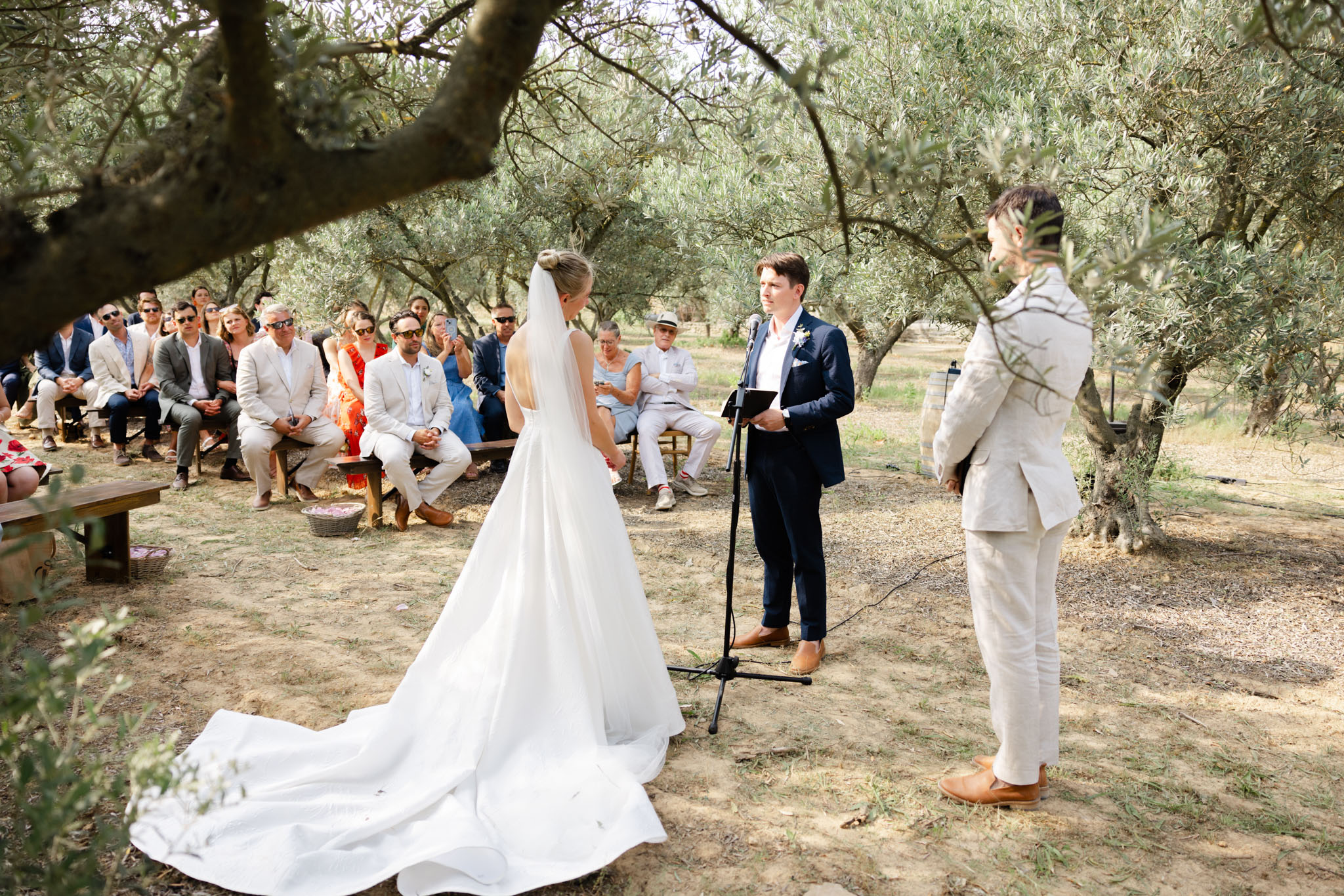 Outdoor wedding ceremony beneath olive trees with bride in cathedral train and guests on wooden benches