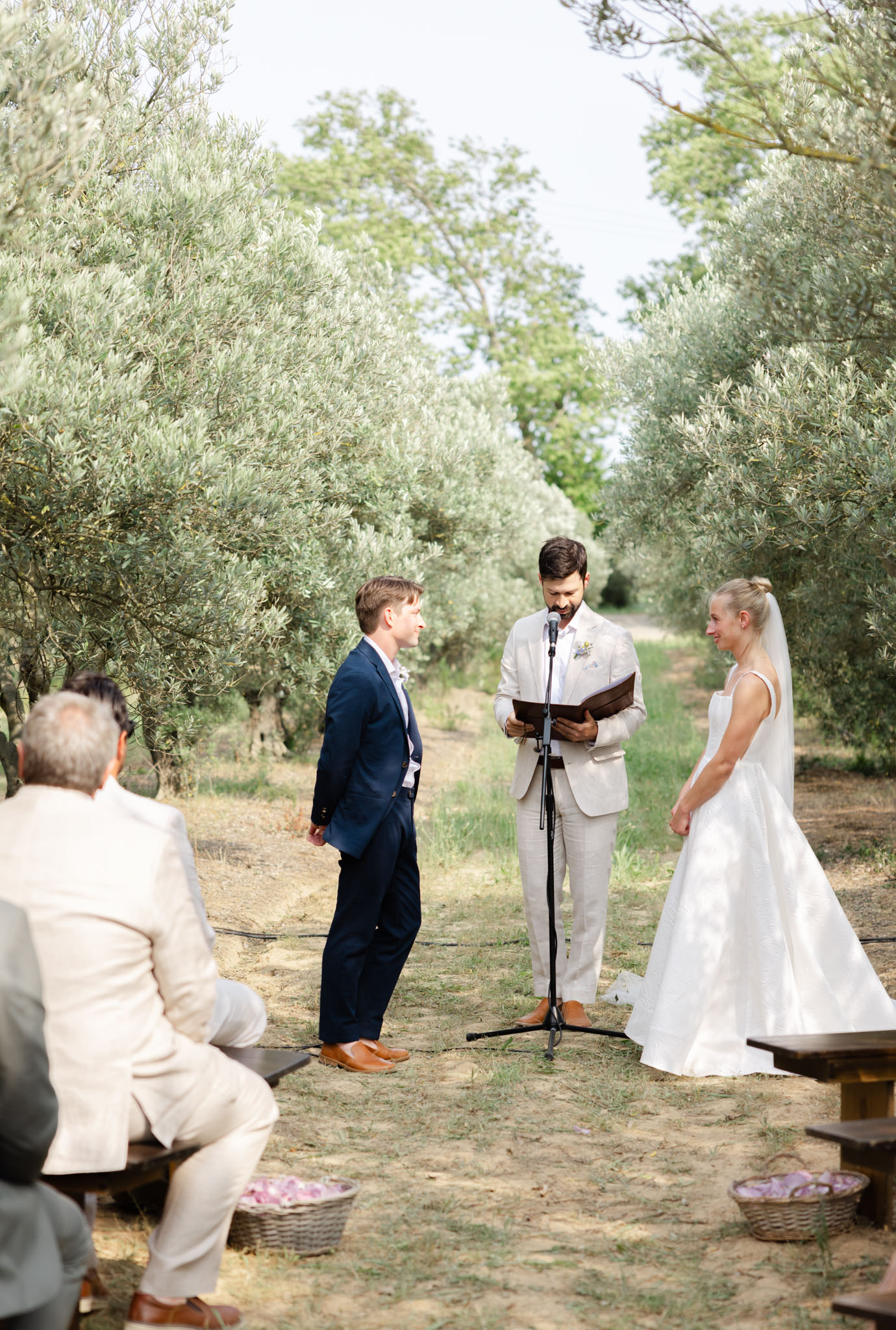Outdoor wedding ceremony in olive grove with couple facing officiant and guests on wooden benches