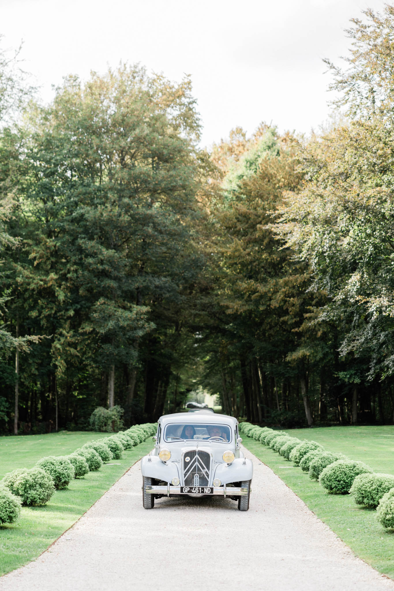 Vintage grey Citroen on formal topiary-lined gravel allee under mature tree canopy at French estate
