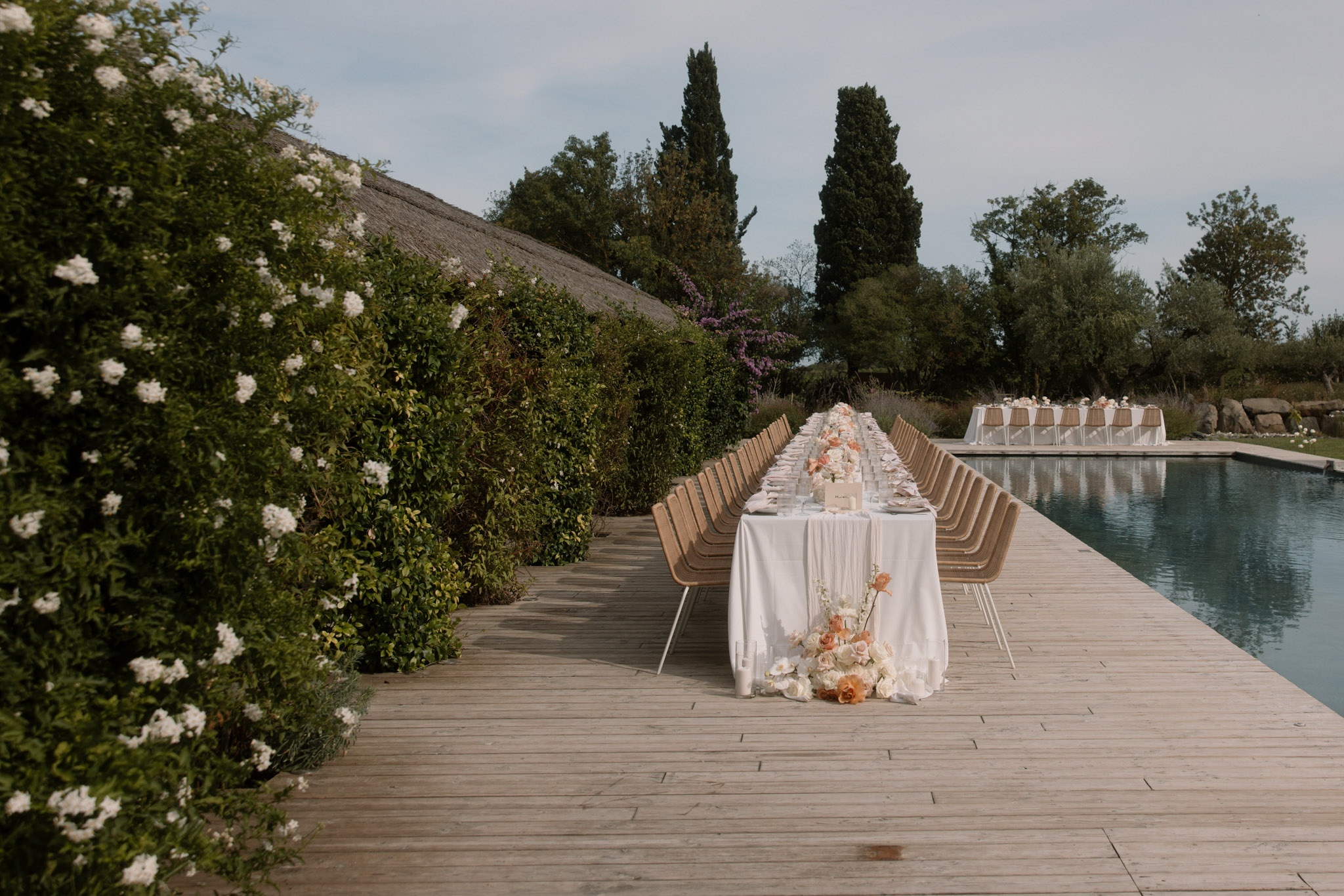 Poolside banquet table with ivory and peach rose runner woven chairs and delphinium arrangements