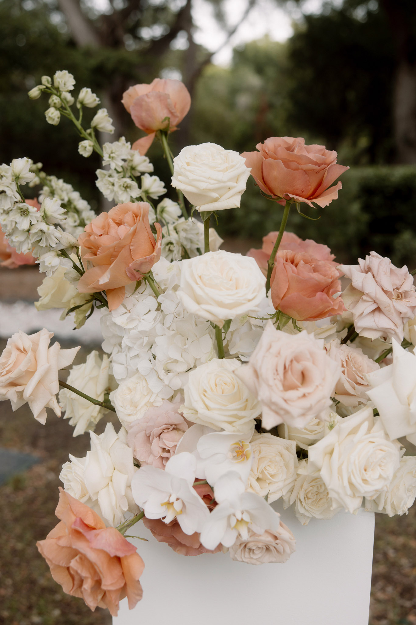 Ceremony pedestal arrangement of peach garden roses ivory cream roses blush spray roses and white orchids