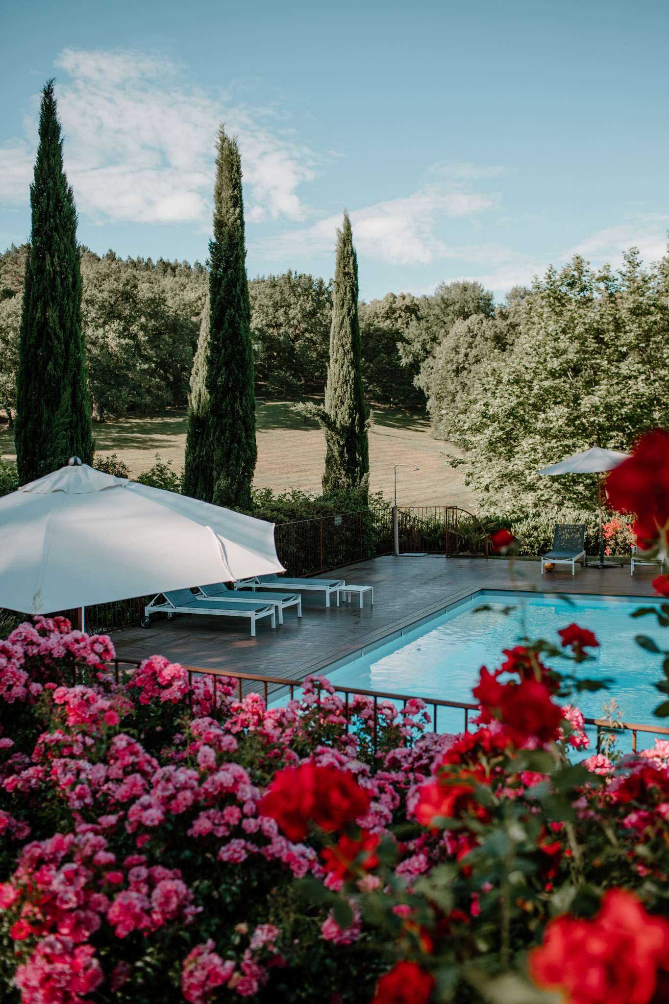 Pool deck with white loungers and parasols framed by red roses and cypress trees at estate
