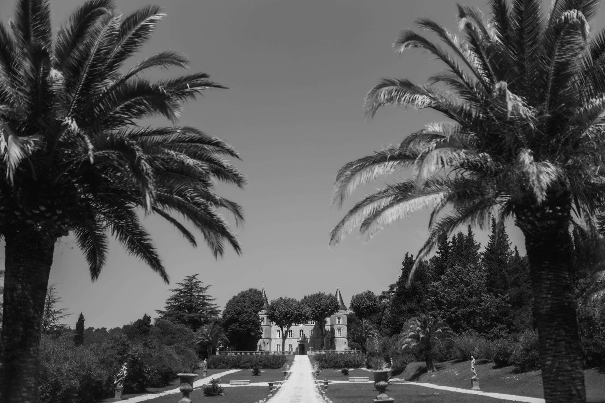 Black-and-white view of a French chateau at the end of a formal driveway lined with sculpted hedges and palm trees