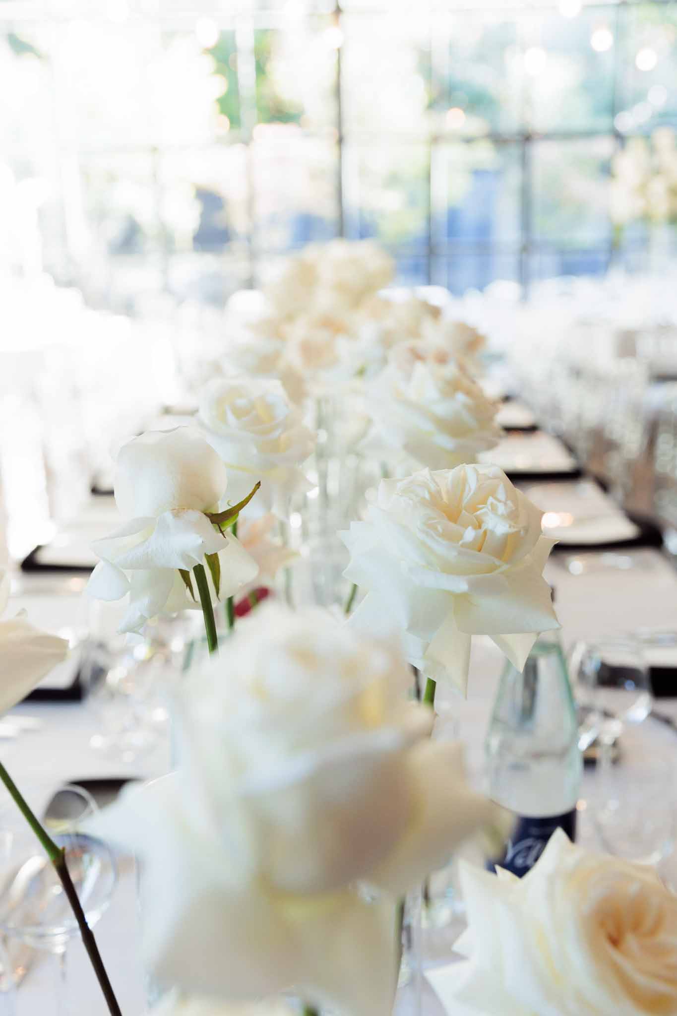 A close-up detail shot of a long reception table set inside a clear-paneled marquee or glass structure, allowing natural daylight to flood the space. The table centerpiece consists of a continuous row of individual cream and white roses placed in small clear glass bud vases running the length of the table. The table is dressed with a white linen, white folded napkins, and black charger plates or place mats, creating a crisp monochrome contrast. Crystal glassware and water bottles are visible at each place setting, and the shallow depth of field keeps the nearest roses softly out of focus while the row recedes into the background.