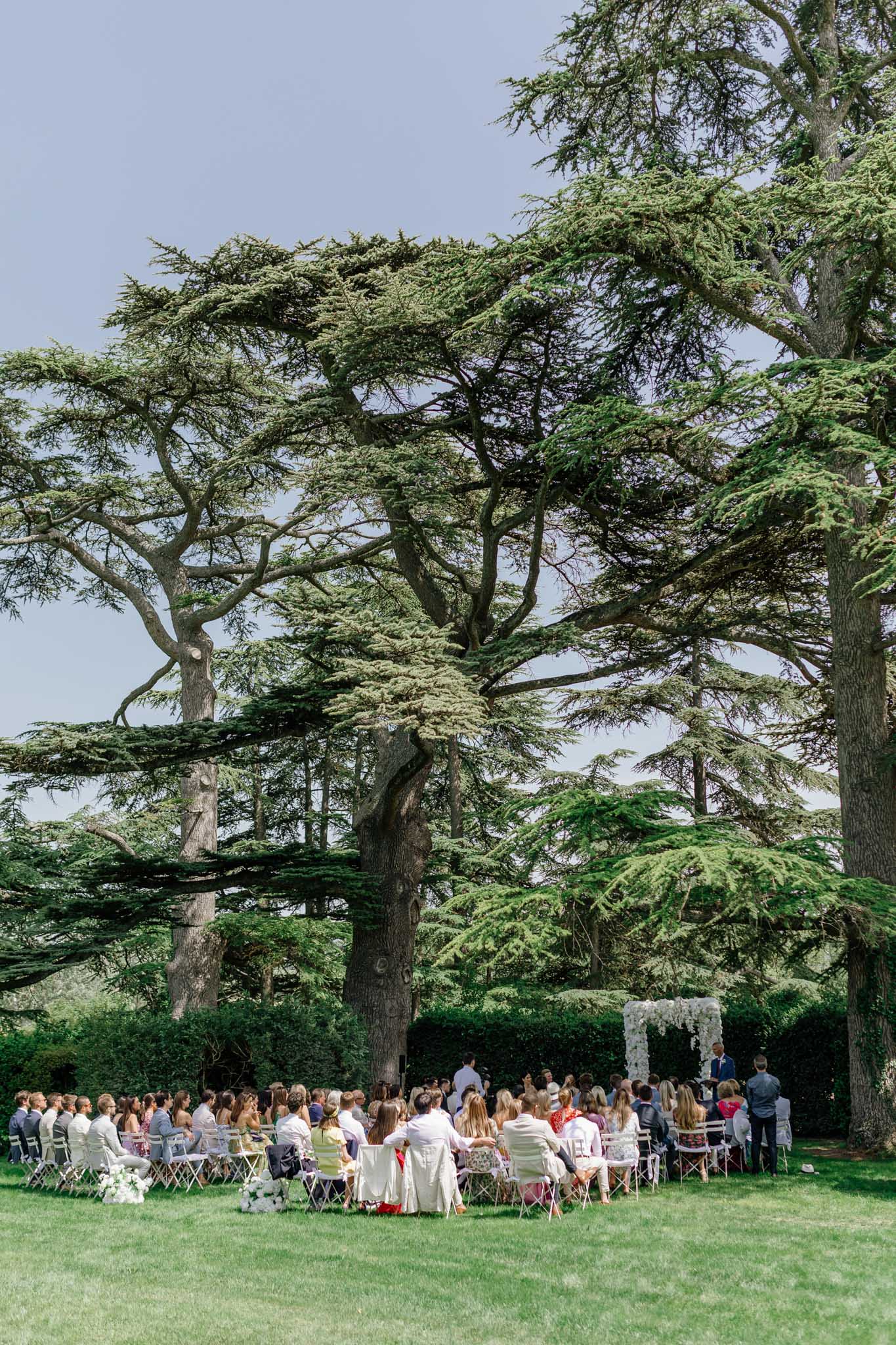 Bride and groom with their bridal party at a French chateau