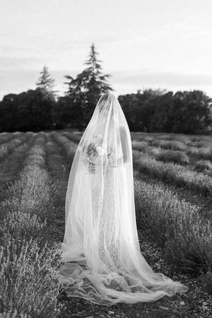 Lavander Fields A.Lucas bride long veil black white photo