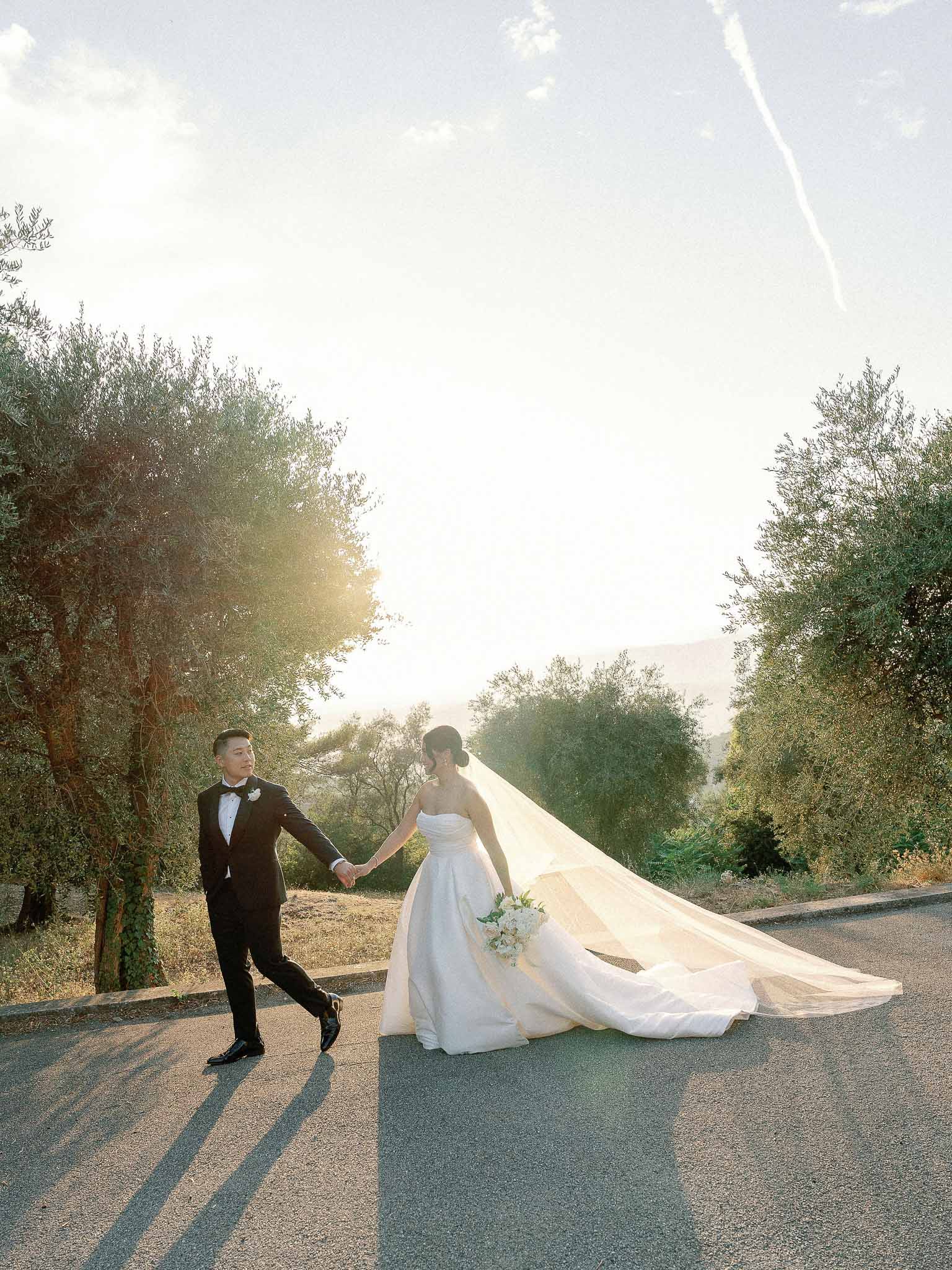 Bride and groom walking hand-in-hand along olive tree-lined road during wedding portrait session