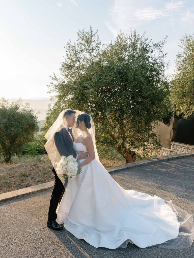 Domaine Mont Leuze CC Weddings bride strapless dress long trail groom veil face