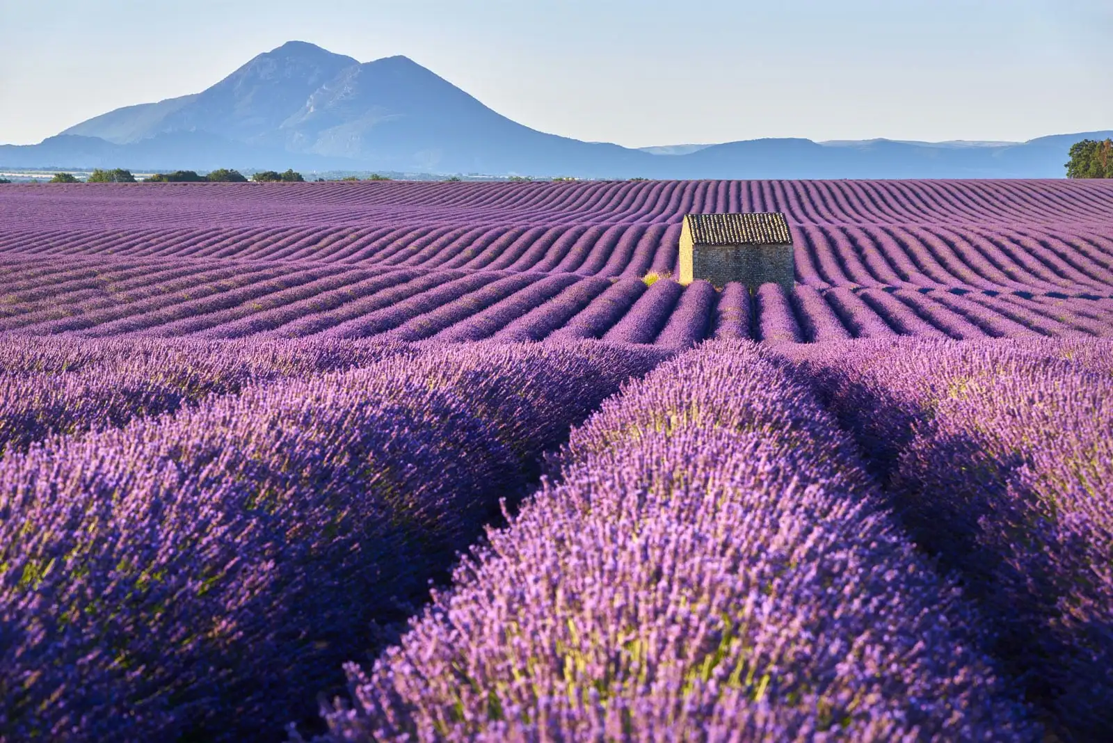 Provence Alpes Cote d'Azur