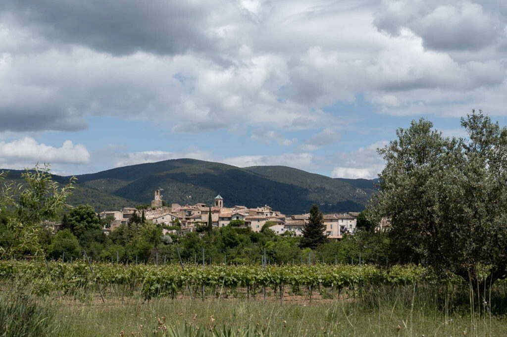MCaelicia Galinier Lourmarin detail shot venue vineyard field mountain