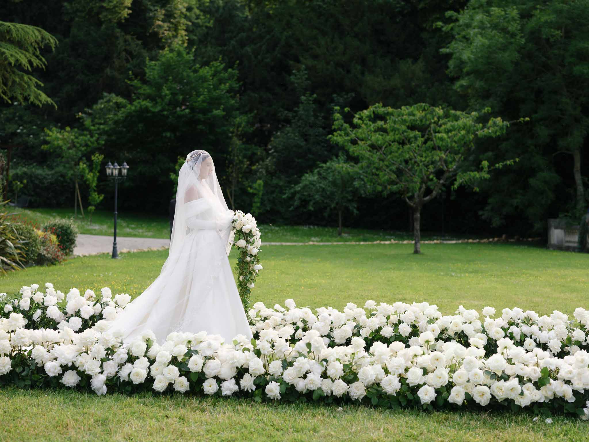 Bride in ivory ball gown with cathedral veil standing behind white rose bed in chateau garden